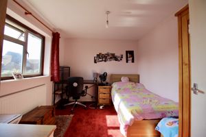 Photo 11- click for photo gallery